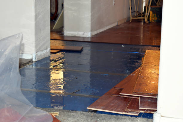 Professional Water Damage Restoration technician working in Hardwick, MA